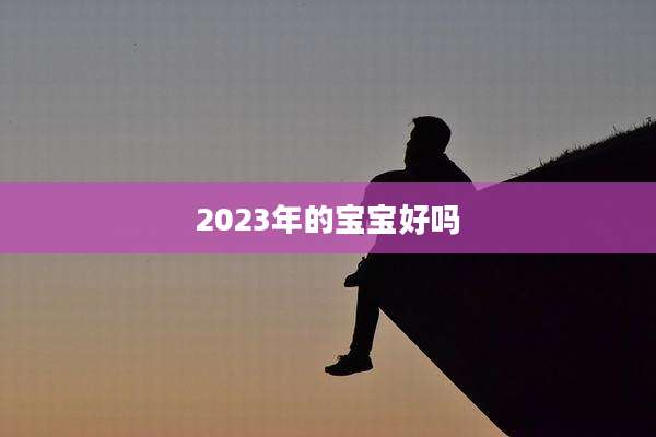 2023年的宝宝好吗