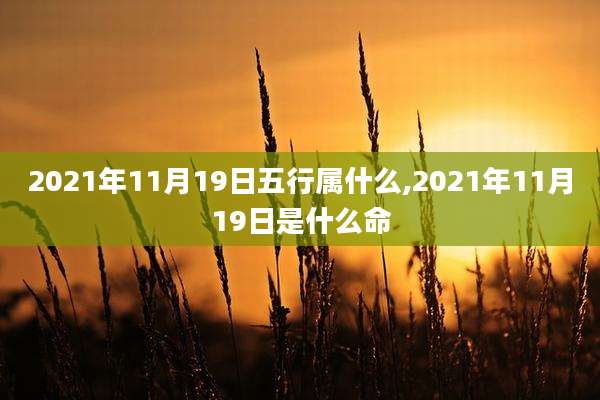 2021年11月19日五行属什么,2021年11月19日是什么命