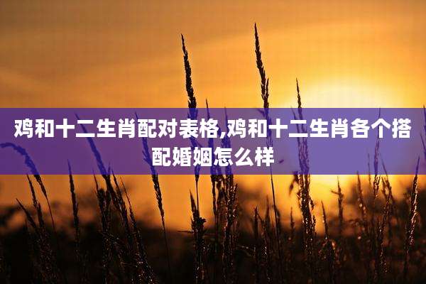 鸡和十二生肖配对表格,鸡和十二生肖各个搭配婚姻怎么样
