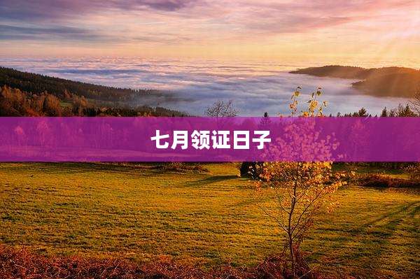 七月领证日子