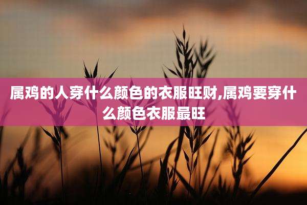 属鸡的人穿什么颜色的衣服旺财,属鸡要穿什么颜色衣服最旺