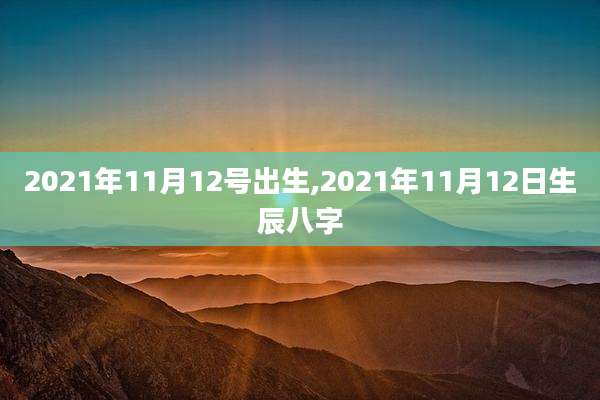 2021年11月12号出生,2021年11月12日生辰八字