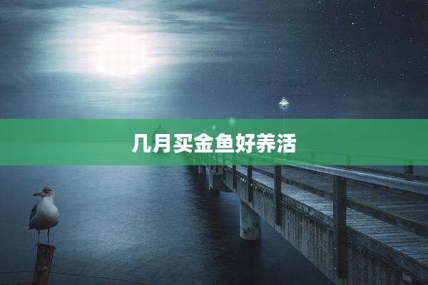几月买金鱼好养活