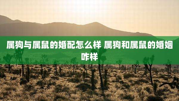 属狗与属鼠的婚配怎么样 属狗和属鼠的婚姻咋样