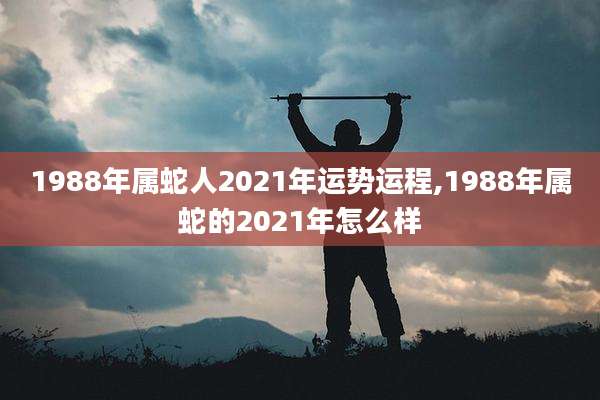 1988年属蛇人2021年运势运程,1988年属蛇的2021年怎么样