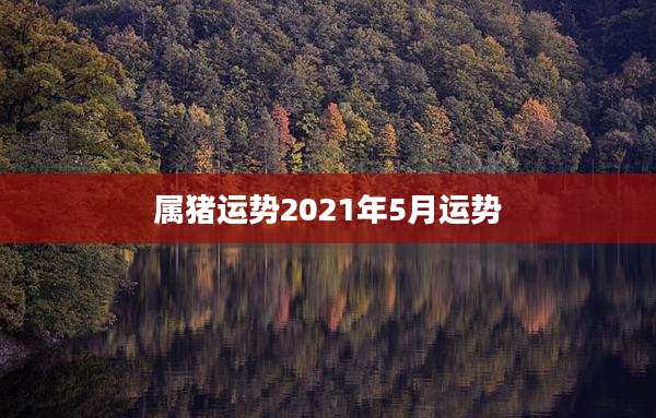 属猪运势2021年5月运势