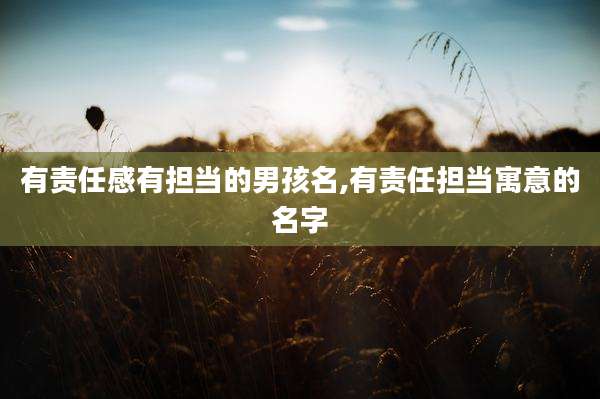 有责任感有担当的男孩名,有责任担当寓意的名字