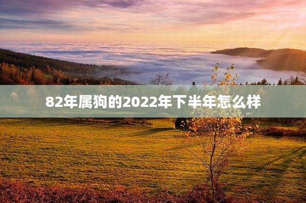 82年属狗的2022年下半年怎么样