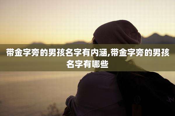 带金字旁的男孩名字有内涵,带金字旁的男孩名字有哪些