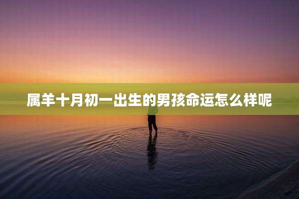 属羊十月初一出生的男孩命运怎么样呢