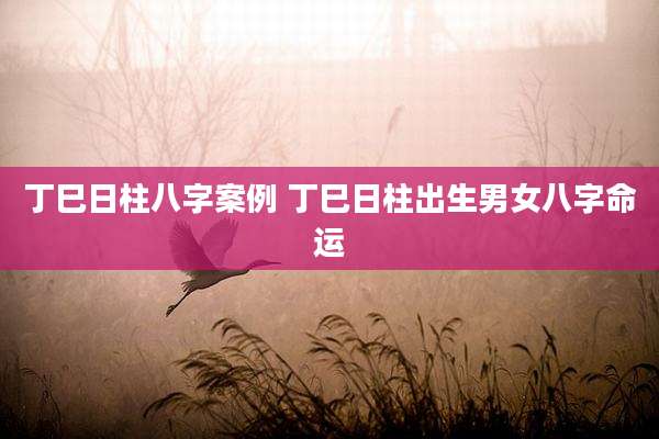 丁巳日柱八字案例 丁巳日柱出生男女八字命运