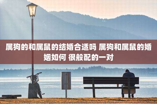 属狗的和属鼠的结婚合适吗 属狗和属鼠的婚姻如何 很般配的一对