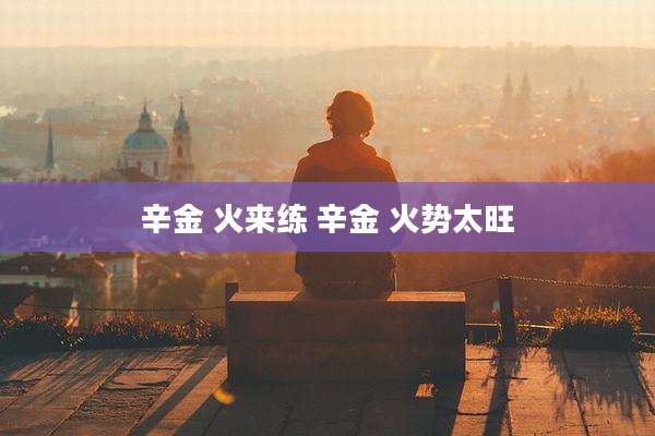 辛金 火来练 辛金 火势太旺