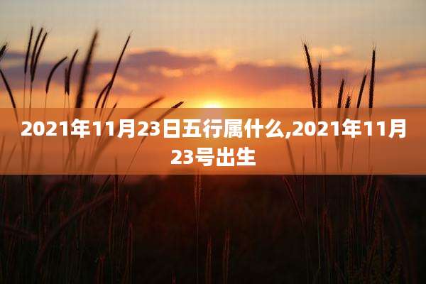 2021年11月23日五行属什么,2021年11月23号出生