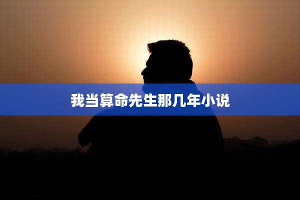 我当算命先生那几年小说