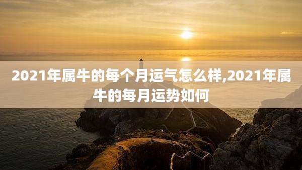 2021年属牛的每个月运气怎么样,2021年属牛的每月运势如何