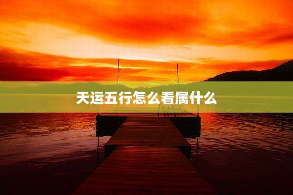 天运五行怎么看属什么
