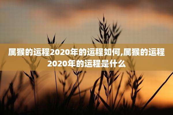 属猴的运程2020年的运程如何,属猴的运程2020年的运程是什么