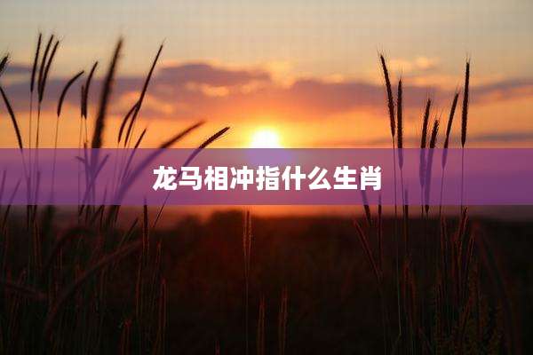 龙马相冲指什么生肖