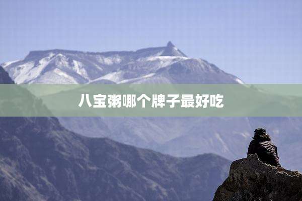八宝粥哪个牌子最好吃