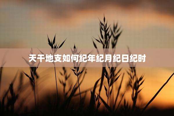 天干地支如何纪年纪月纪日纪时