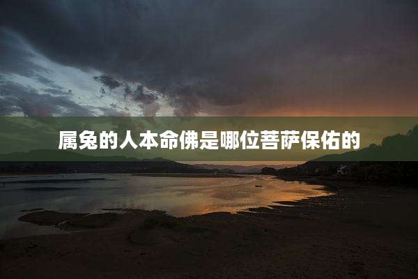 属兔的人本命佛是哪位菩萨保佑的
