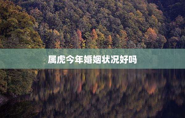 属虎今年婚姻状况好吗