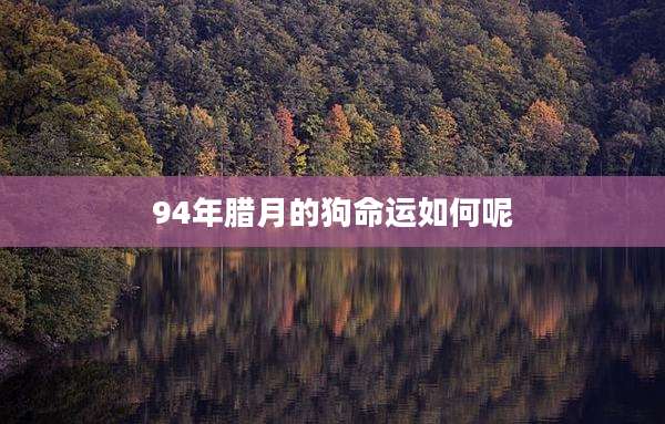 94年腊月的狗命运如何呢
