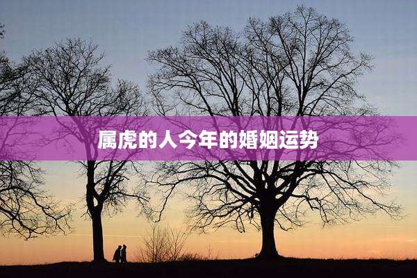 属虎的人今年的婚姻运势
