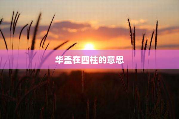 华盖在四柱的意思