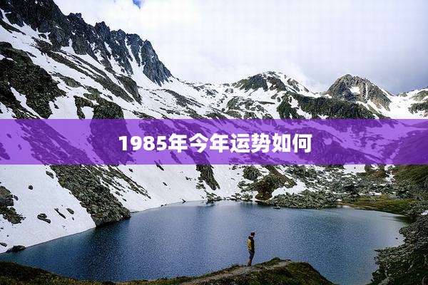 1985年今年运势如何