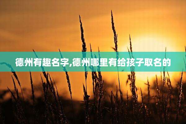 德州有趣名字,德州哪里有给孩子取名的