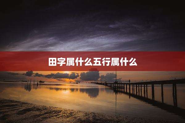 田字属什么五行属什么