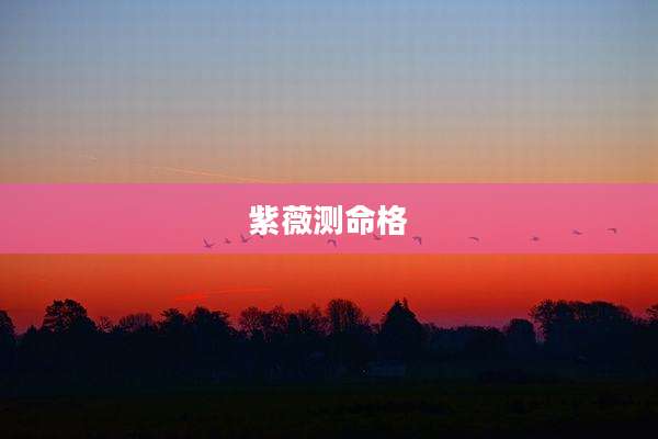 紫薇测命格