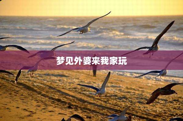 梦见外婆来我家玩