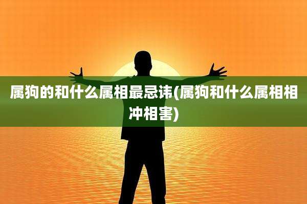 属狗的和什么属相最忌讳(属狗和什么属相相冲相害)
