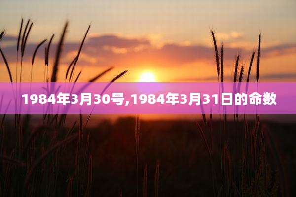 1984年3月30号,1984年3月31日的命数