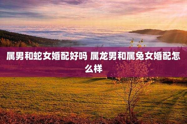 属男和蛇女婚配好吗 属龙男和属兔女婚配怎么样