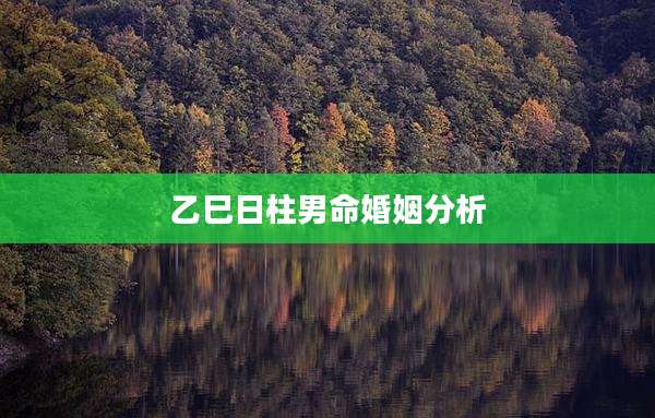 乙巳日柱男命婚姻分析