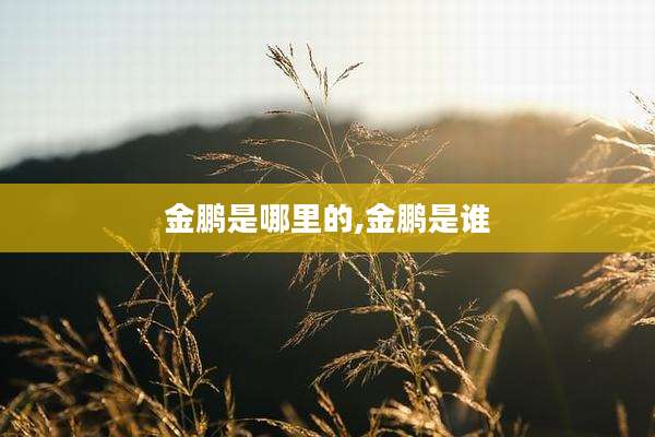 金鹏是哪里的,金鹏是谁