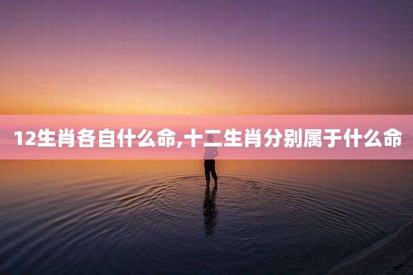 12生肖各自什么命,十二生肖分别属于什么命