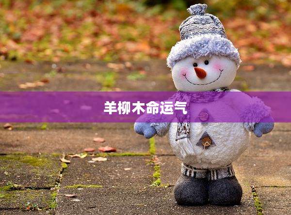 羊柳木命运气