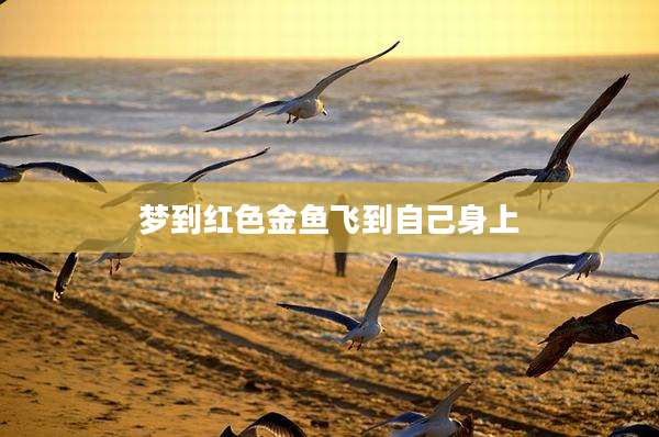 梦到红色金鱼飞到自己身上