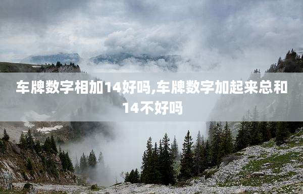 车牌数字相加14好吗,车牌数字加起来总和14不好吗