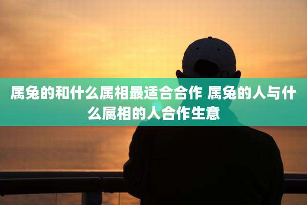 属兔的和什么属相最适合合作 属兔的人与什么属相的人合作生意