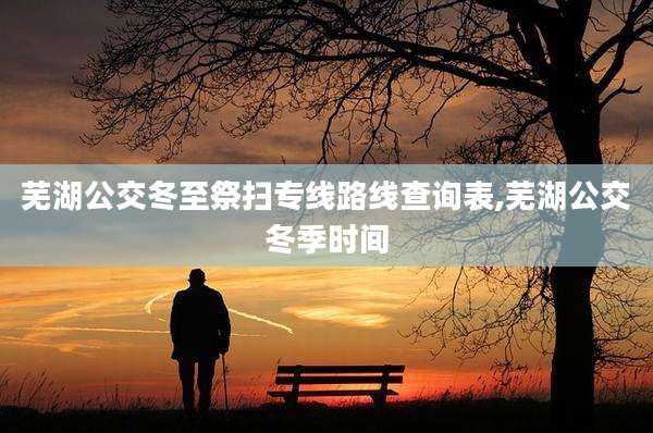 芜湖公交冬至祭扫专线路线查询表,芜湖公交冬季时间