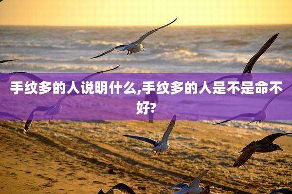 手纹多的人说明什么,手纹多的人是不是命不好?