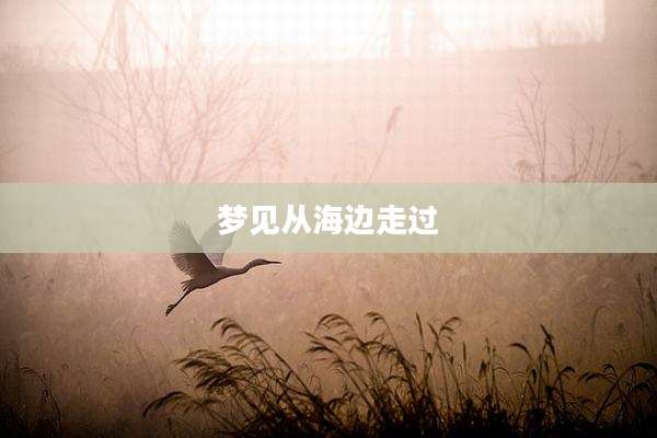 梦见从海边走过