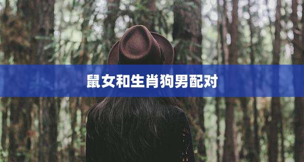 鼠女和生肖狗男配对
