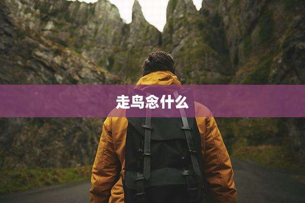 走鸟念什么